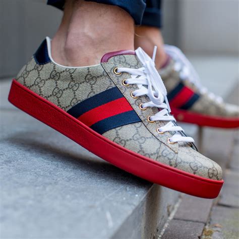 snekears gucci offerte|New Arrivals Gucci Sneakers .